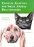 Clinical Anatomy for Small Animal Practitioners