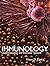 Immunology: Understanding The Immune System