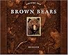 Brown Bears Brown Bears