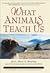 What Animals Teach Us by Mary Hessler Key
