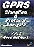 GPRS - Signaling and Protocol Analysis - Volume 2: The Core Network