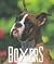 Boxers (Little Books)