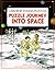 Puzzle Journey into Space (Puzzle Journey Series)