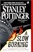 A Slow Burning by Stanley Pottinger