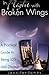 In Flight With Broken Wings by Jennifer James