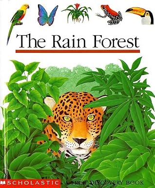 The Rain Forest