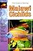 The Guide to Owning Malawi Cichlids