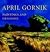 April Gornik by Donald B. Kuspit