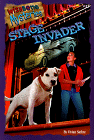 Stage Invader by Vivian Sathre