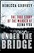 Under the Bridge by Rebecca Godfrey Under the Bridge by Rebecca Godfrey