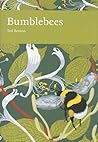 Bumblebees by Ted Benton