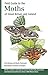 Field Guide to the Moths of Great Britain and Ireland by Paul Waring