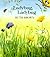 Ladybug, Ladybug (Picture Puffins)