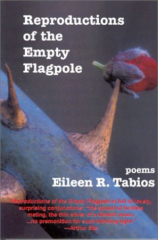 Reproductions of the Empty Flagpole (Paperback)