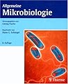 Allgemeine Mikrob...