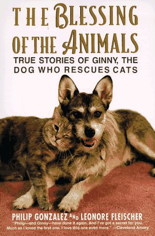 The Blessing of the Animals: True Stories of Ginny, the Dog Who Rescues Cats – The Heartwarming Adventures of Devotion and Love – A Miracle Canine Saves Disabled and Ailing Strays (Paperback)