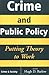 Crime And Public Policy: Putting Theory To Work (Crime & Society Series)