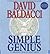 Simple Genius (Sean King & Michelle Maxwell, #3)