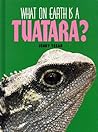 What on Earth Is a Tuatara?