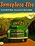 Someplace Else by Carol P. Saul