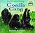 Animal Kingdom: Gorilla Gang (Disney's Animal Kingdom)