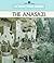 The Anasazi