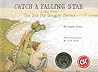 Catch a Falling Star (Takes from the Iris Dragon)