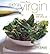 Extra Virgin: Cooking With ...