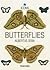 Butterflies by Albertus Seba