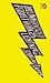 The Unabridged Pocketbook of Lightning by Jonathan Safran Foer
