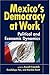 Mexico's Democracy at Work: Political and Economic Dynamics