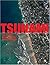 Tsunami: The World's Most Terrifying Natural Disaster