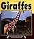 Giraffes (Nature Watch)