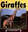 Giraffes by Barbara Keevil Parker