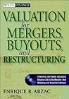 Valuation for Mergers, Buyouts, and Restructuring (Wiley Finance)