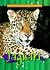 Jaguars (Animals of the Rain Forest)