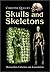 Skulls and Skeletons: Human...