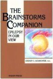 The Brainstorms Companion: Epilepsy in Our View