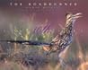 The Roadrunner The Roadrunner
