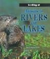 Animals in Rivers and Lakes (Looking at)