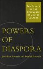 Powers Of Diaspora: Two Essays On The Relevance Of Jewish Culture (Paperback)