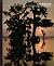 The Bayous (Time-Life Ameri...