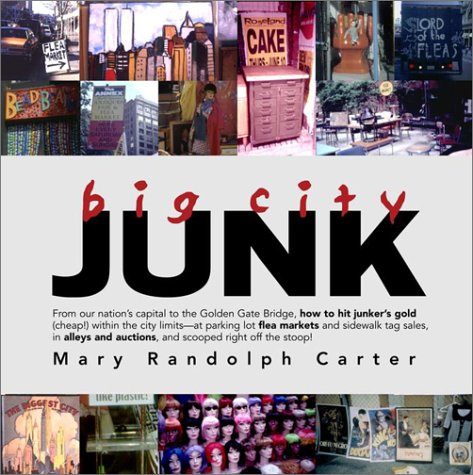 Big City Junk (Hardcover)