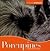Porcupines