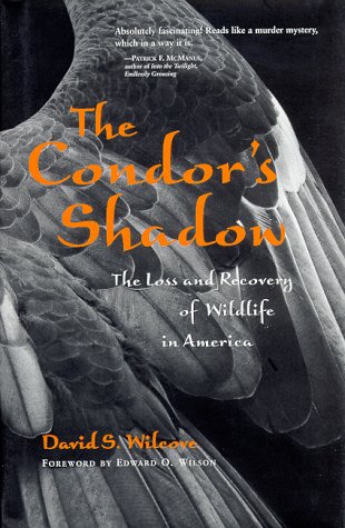 The Condor's Shadow: The Loss and Recovery of Wildlife in America (Hardcover)