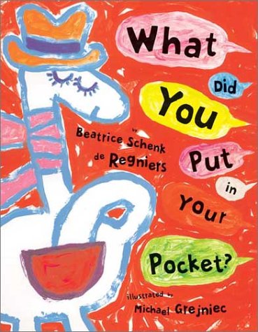 What Did You Put in Your Pocket? (Hardcover)