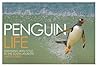 Penguin Life: Surviving With Style in the South Atlantic