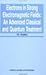 Electrons in Strong Electromagnetic Fields: An Advanced Classical and Quantum Treatment