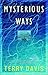Mysterious Ways by Terry Davis