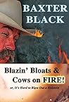 Blazin' Bloats & Cows on Fire!